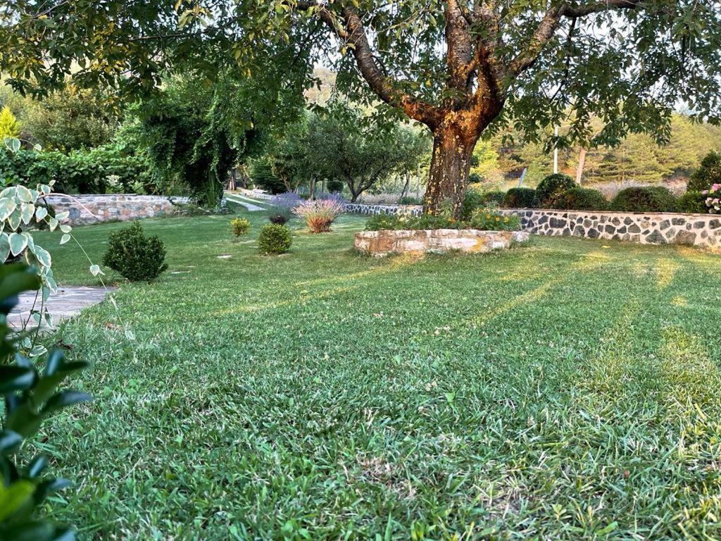 Bujtina Bezhani Gjinar Elbasan Exterior photo