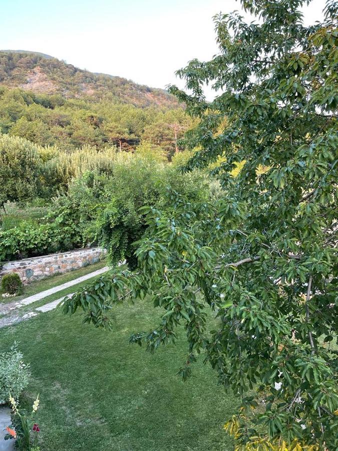 Bujtina Bezhani Gjinar Elbasan Exterior photo